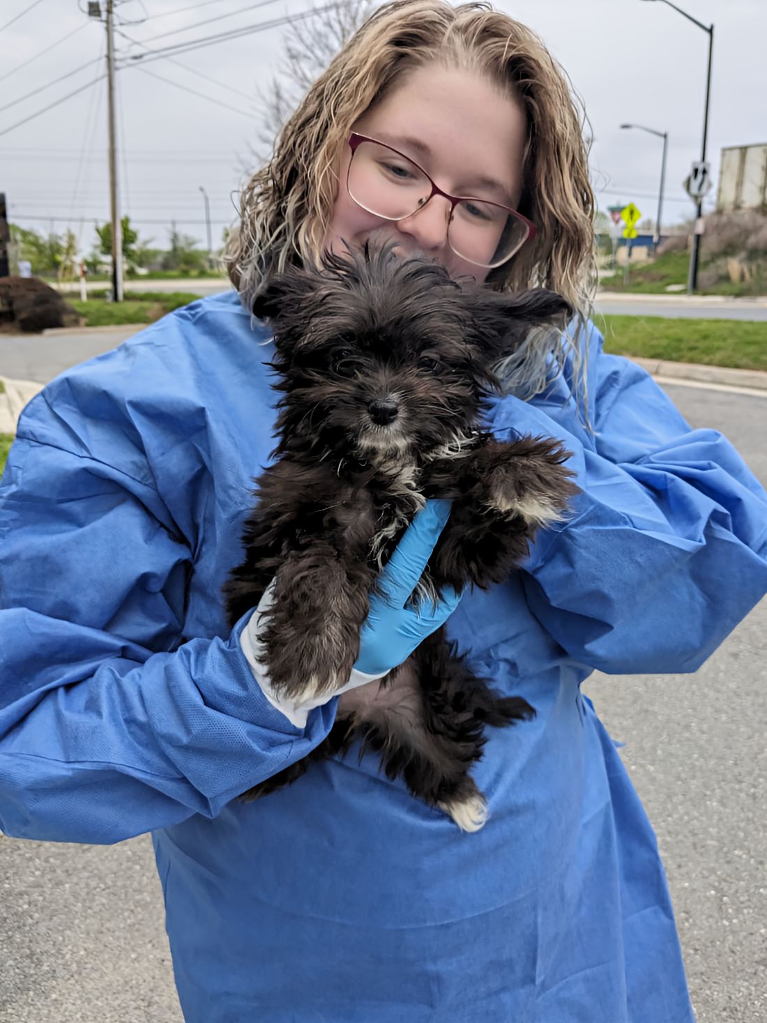 From Parvovirus to Emotional Support Hero Pixie, the mighty little terrier mix when she was first brought to the shelter