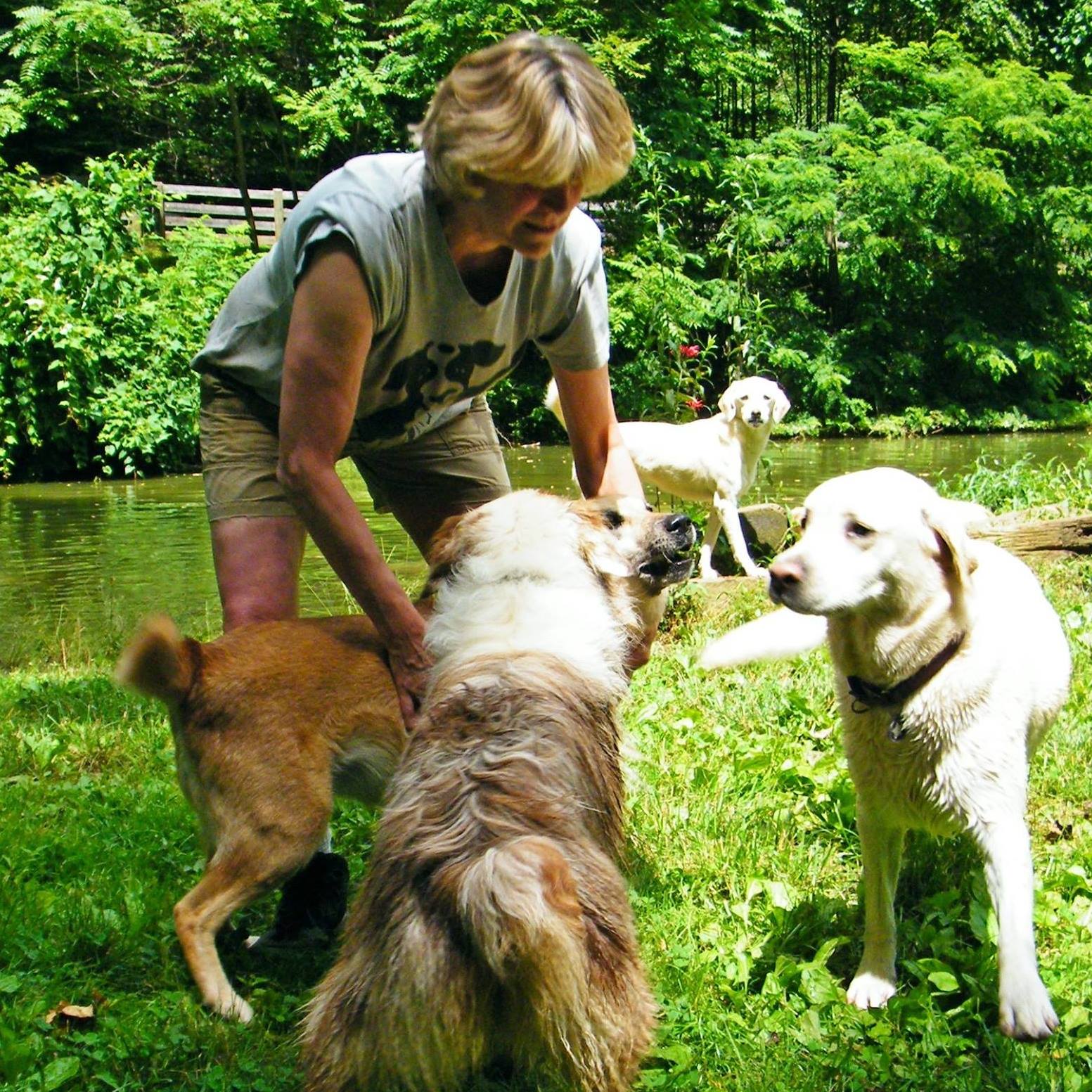 Doolittle's Country Kennel